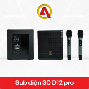 Sub điện 30 D12 PRO