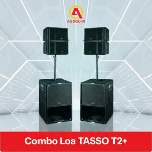Combo loa TASSO T2+